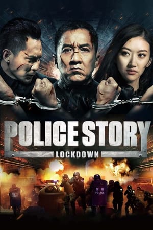 Police Story: Lockdown (2013) Hindi Dual Audio 720p BluRay [1GB] - Movierulz