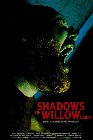 Shadows of Willow Cabin 2025 Hindi Dual Audio WEBRip 720p - 480p - 1080p - Movierulz